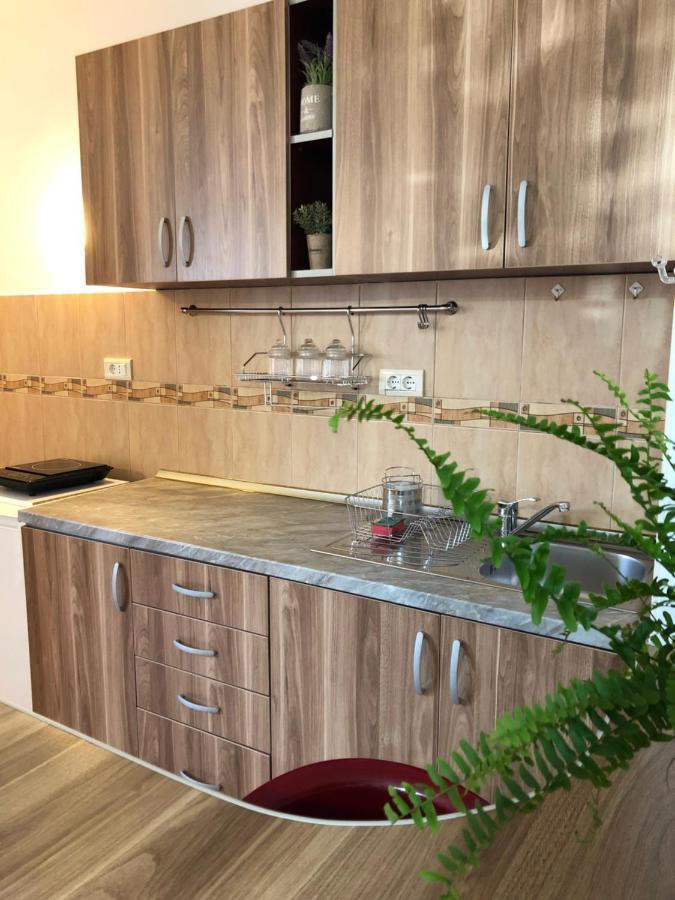 Flora Apartment - Near The Sea Šušanj Εξωτερικό φωτογραφία